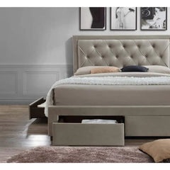Zenith Upholstered Bed with Drawers Storage in Suede