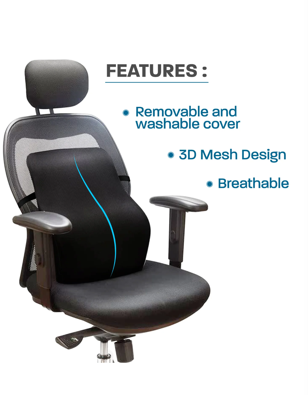 Support Memory Foam Backrest Back Support Cushion