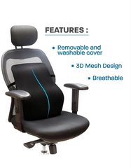 Support Memory Foam Backrest Back Support Cushion