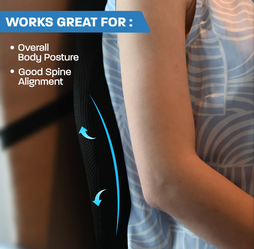 Support Memory Foam Backrest Back Support Cushion